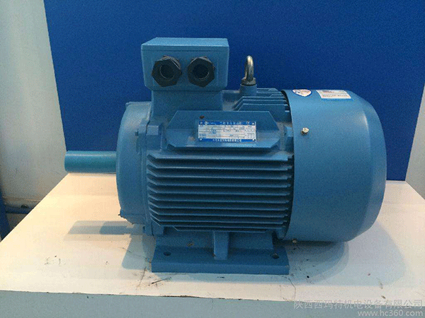 高效節(jié)能電機(jī)是西安泰富西瑪未來商業(yè)發(fā)展的方向。